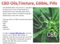 CBD Concentrates, Oils, Tincture, Edible and Pills