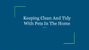 Keeping Clean And Tidy With Pets In The Home