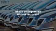 What Is the Importance Of Fleet Insurance?