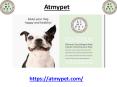 At Home Dog Allergy Test in Canada PowerPoint PPT Presentation