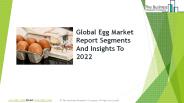 Egg Global Market Report 2019