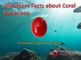 Important Fact about Coral Gemstone (1) PowerPoint PPT Presentation
