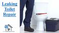 Leaking Toilet Repair PowerPoint PPT Presentation