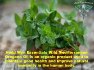 Certified Organic Oregano Oil