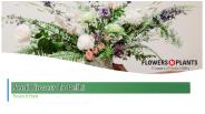 Send Fresh Flowers To Your Loved Ones Online