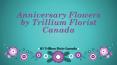 Anniversary Flower Gift By Trillium Florist | Best Flower Shops Toronto PowerPoint PPT Presentation