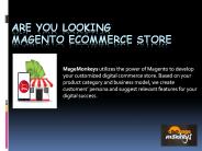 Magento eCommerce Store Developmen