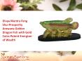 Feng Shui Prosperity Arowana Golden Dragon Fish with Gold Coins