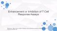 T cell infiltration PowerPoint PPT Presentation