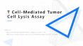 tumor cell lysis PowerPoint PPT Presentation