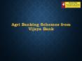 Agri Banking Schemes from Vijaya Bank PowerPoint PPT Presentation
