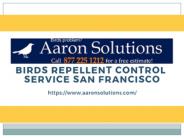 Birds Repellent Control Service San Francisco