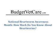 National Heartworm Awareness Month