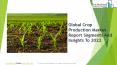 Crop Production Global Market Report 2019 PowerPoint PPT Presentation