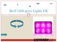 BesT LED grow Lights PowerPoint PPT Presentation