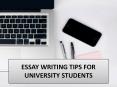 ESSAY WRITING TIPS FOR UNIVERSITY STUDENTS PowerPoint PPT Presentation