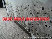 Dade Mold Inspectors - Mold Inspections Miami