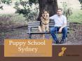 Puppy Training Classes Sydney PowerPoint PPT Presentation