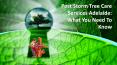 Post Storm Tree Care Services Adelaide: What You Need To Know PowerPoint PPT Presentation