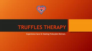 Psilocybin Retreat in Netherlands