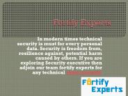 Technical cyber security evaluation with supreme ones. (1)