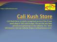 Cali Kush Store  in USA and Europe PowerPoint PPT Presentation
