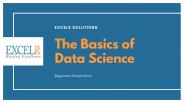 The Basics of Data Science - ExcelR Solutions
