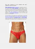 Why sheer underwear for men combined with men’s underwear is worth every dime? PowerPoint PPT Presentation