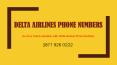 Go On a Family Vacation with Delta Airlines Phone Number PowerPoint PPT Presentation