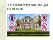 patriotanimalremoval