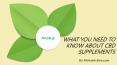 WHAT YOU NEED TO  KNOW ABOUT CBD  SUPPLEMENTS PowerPoint PPT Presentation