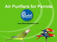 Air Purifiers for Parrots