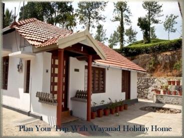 Plan Your Trip With Wayanad Holiday Home