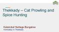 Thekkady cat prowling and spice hunting PowerPoint PPT Presentation
