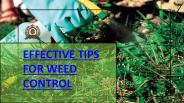 10 EFFECTIVE TIPS FOR WEED CONTROL