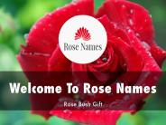 Detail Presentation About Rose Names