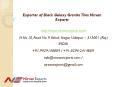 Exporter of Black Galaxy Granite Tiles Nirvan Exports PowerPoint PPT Presentation