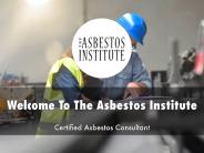 Detail Presentation About The Asbestos Institute
