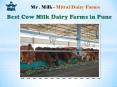 Best Cow Milk Dairy Farms in Pune PowerPoint PPT Presentation