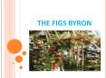 Wedding Venues in Byron Bay | Weddings in Byron Bay | Accommodation in Brunswick Heads | Accommodation in Byron Bay PowerPoint PPT Presentation