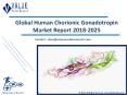 Human Chorionic Gonadotropin Market | Growth & Trends | Industry Report, 2025 PowerPoint PPT Presentation