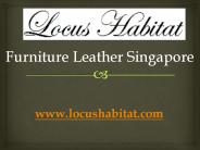 Furniture Leather Singapore