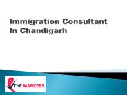 Immigration Consultant In Chandigarh