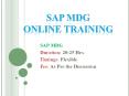 SAP Master Data Management PPT PowerPoint PPT Presentation