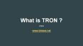 What is TRON ? PowerPoint PPT Presentation