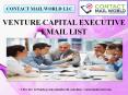 VENTURE CAPITAL EXECUTIVE EMAIL LIST PowerPoint PPT Presentation