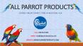 All Parrot Products – Leading Online Parrot Store in Michigan, USA
