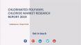 Chlorinated Polyvinyl Chloride Market Research Report 2019 PowerPoint PPT Presentation