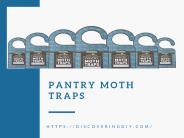 Pantry Moth Traps