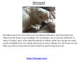 atmypet PowerPoint PPT Presentation